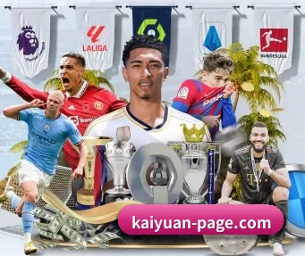 kaiyuan-page.com APP（KY Gaming）